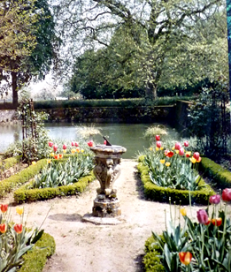 Jardin aux tulipes